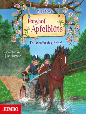 cover image of Ponyhof Apfelblüte. Du schaffst das, Prinz! [Band 19]